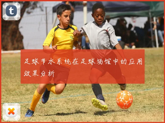 足球节水系统在足球场馆中的应用效果分析