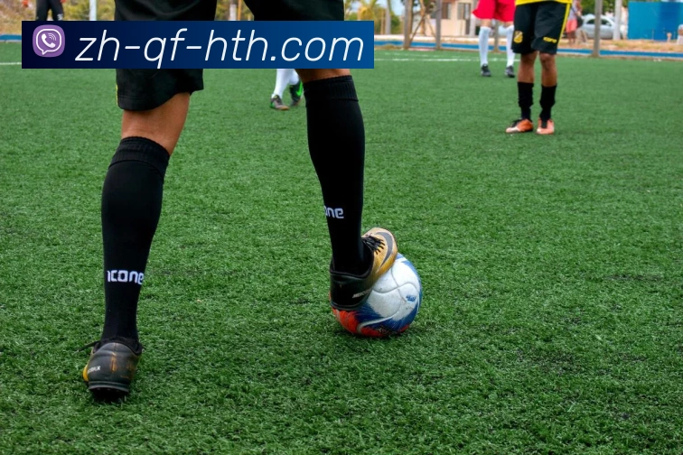 App Interface Preview